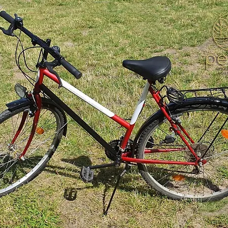 Pesus Ziemia Apartament Z Dobra Energia